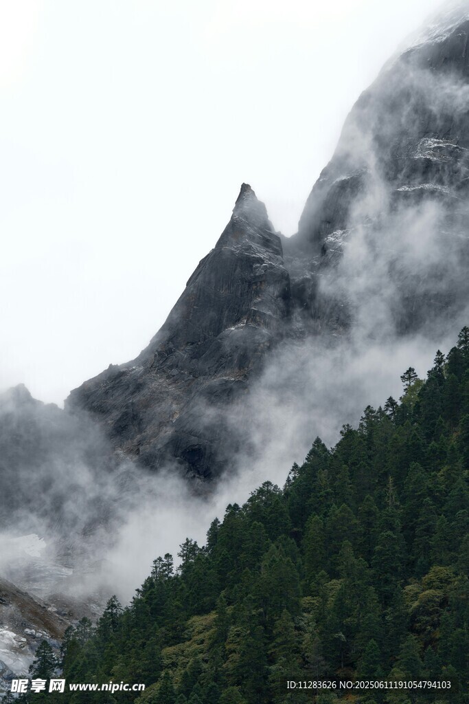 云雾缭绕的峻岭与葱郁山林