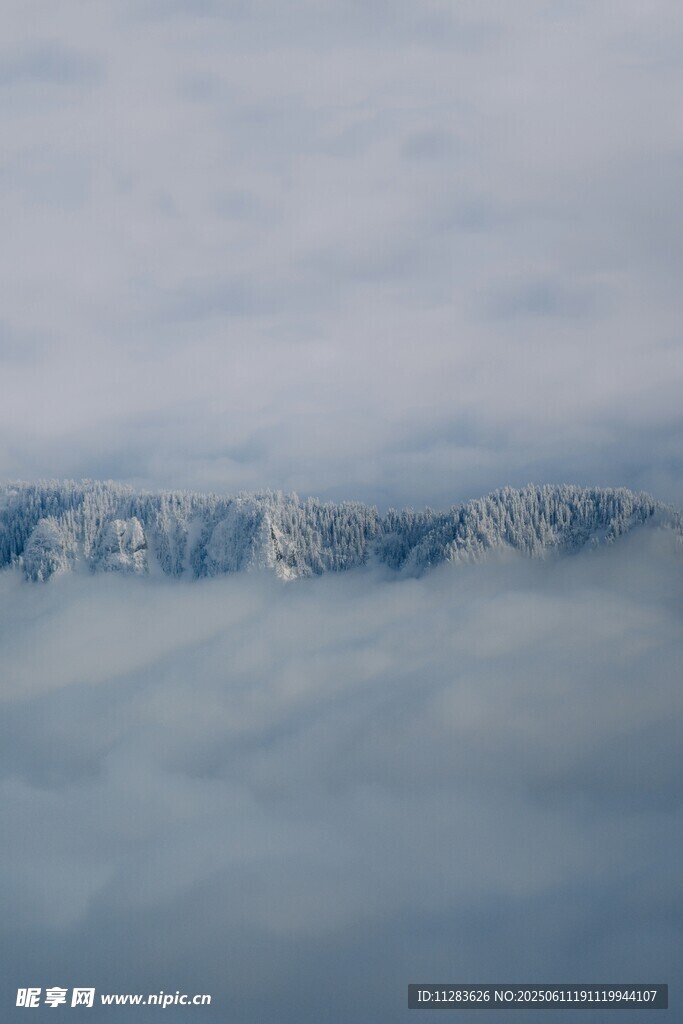云海中的雪山壮丽景观