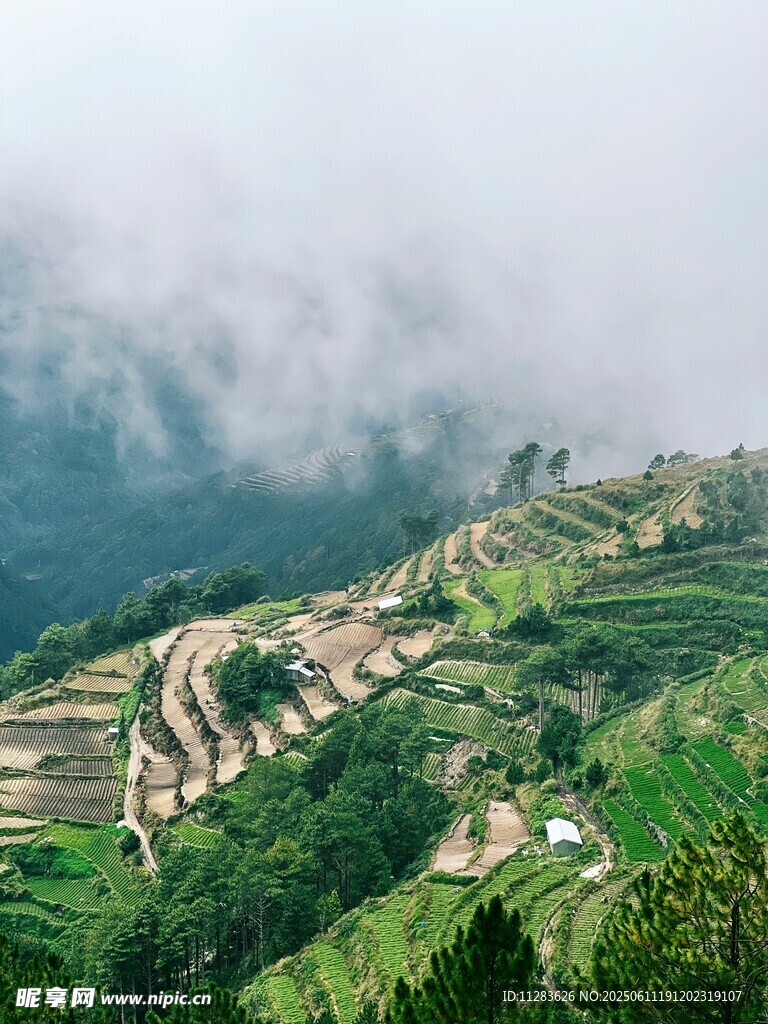 云雾缭绕的壮美梯田景观