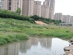 城市园林