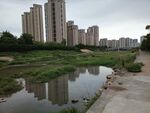 城市园林