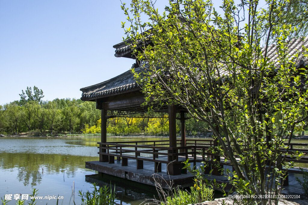 湖景与凉亭古亭