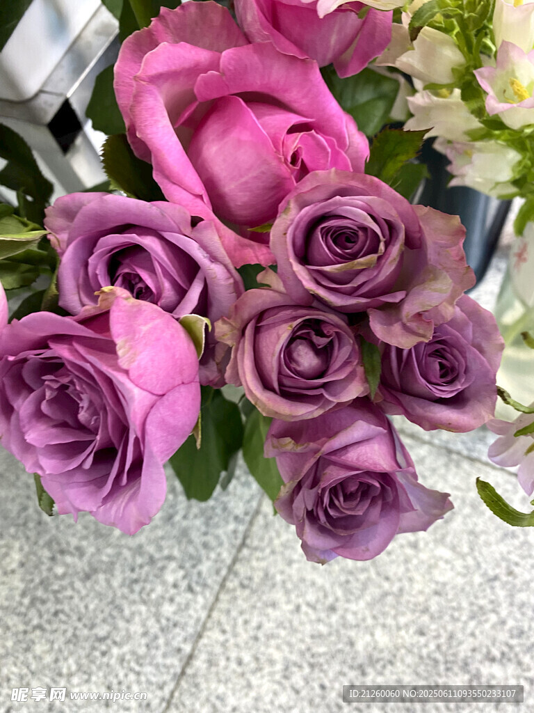 紫色玫瑰花束特写