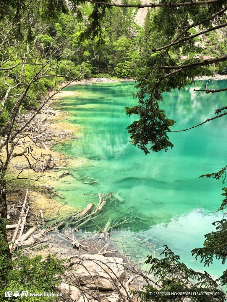 翠绿山林间的澄澈碧湖