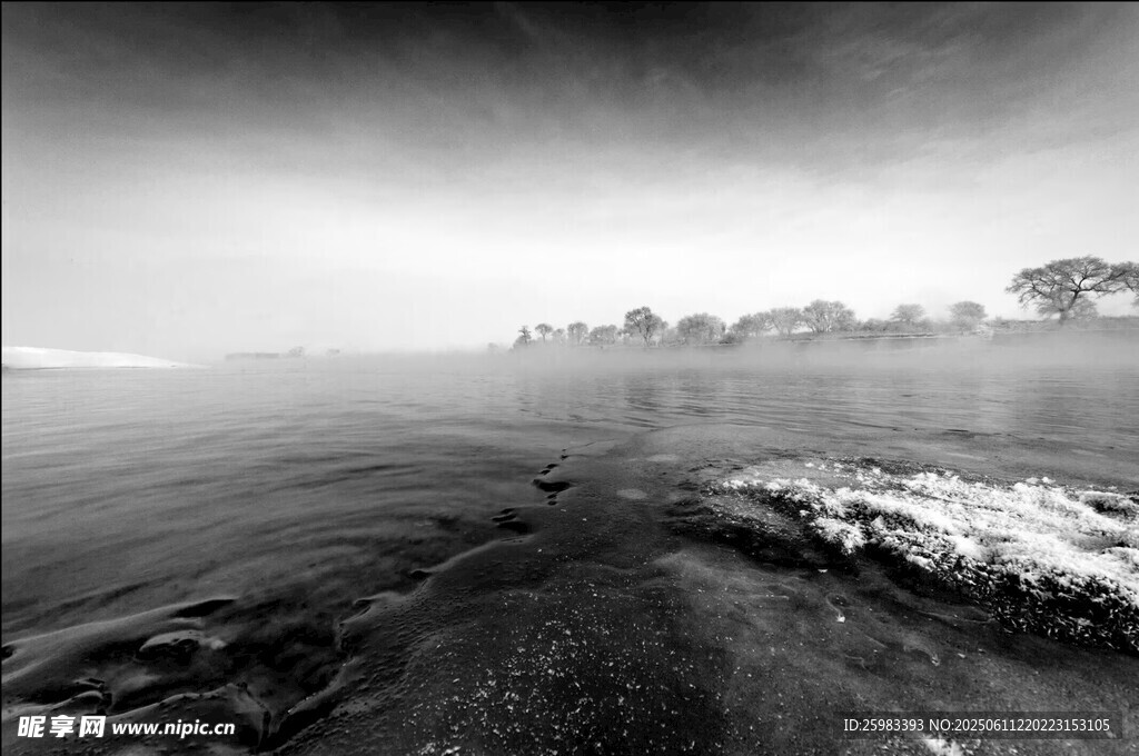海岸