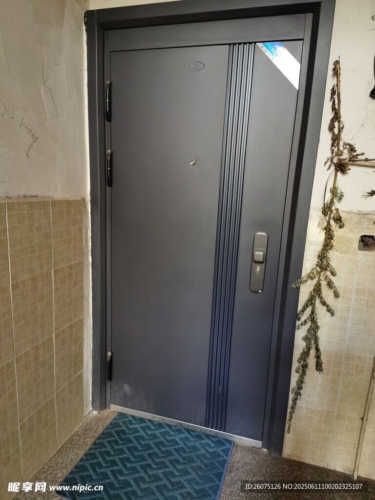 现代简约风格入户门展示