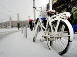 雪后街头停放的白色自行车