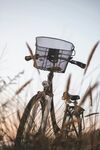 田野中的复古自行车