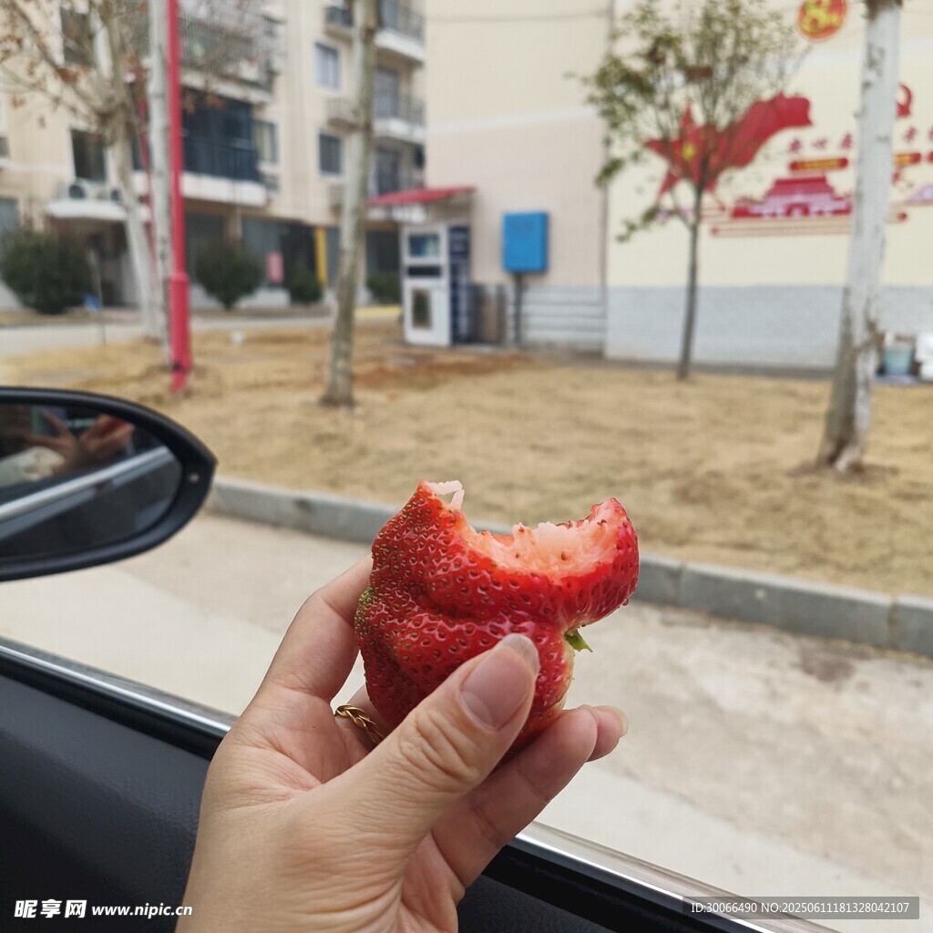 草莓