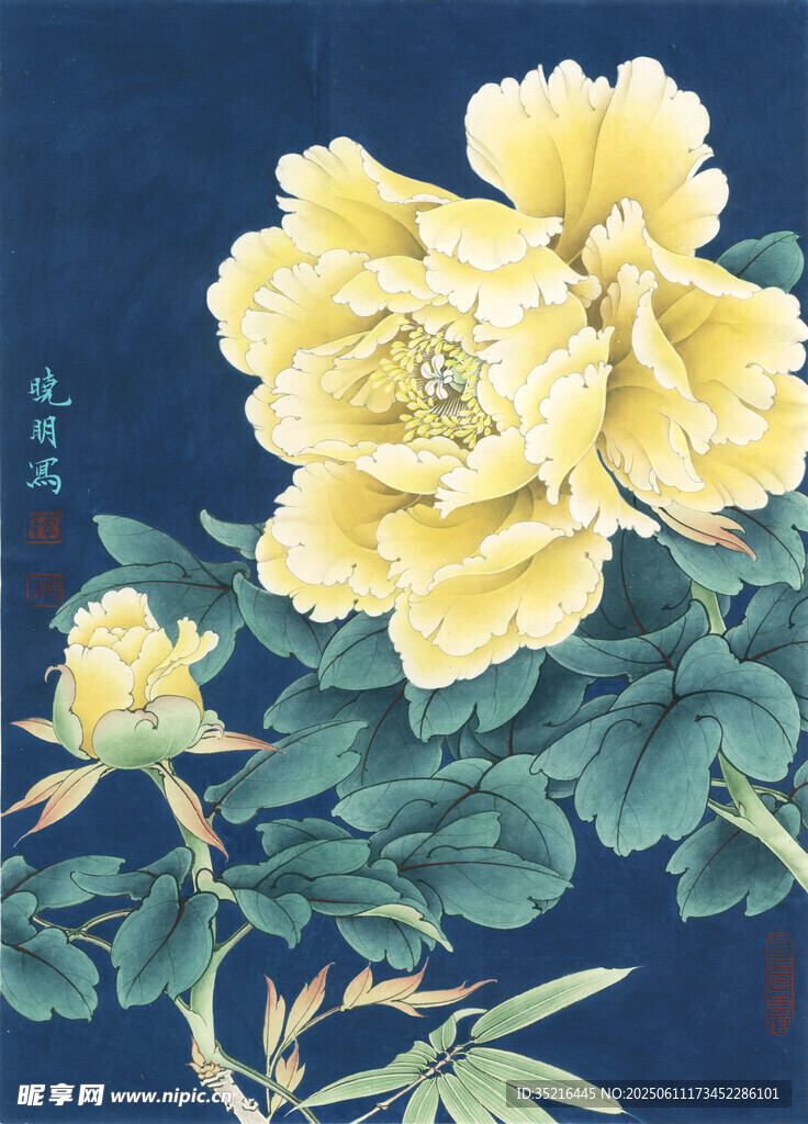 国画黄牡丹花卉图