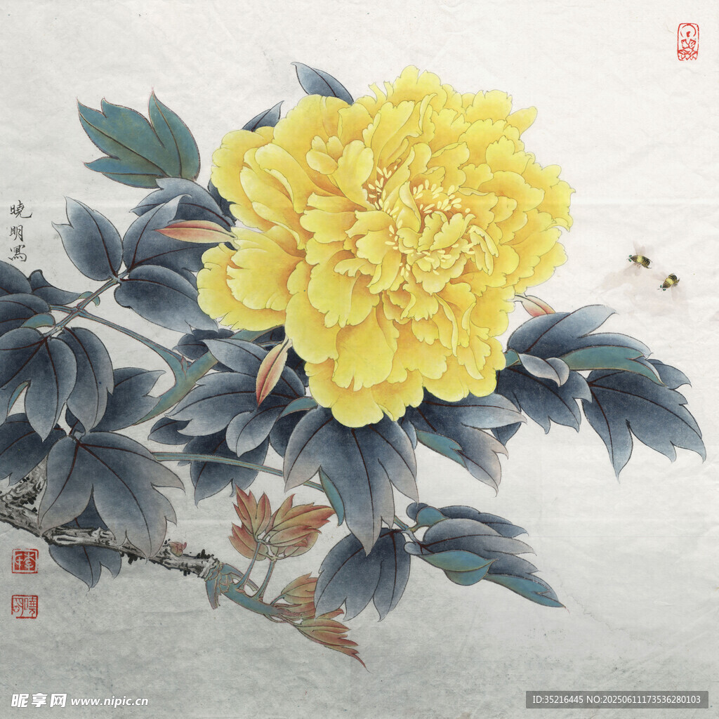 国画黄牡丹图