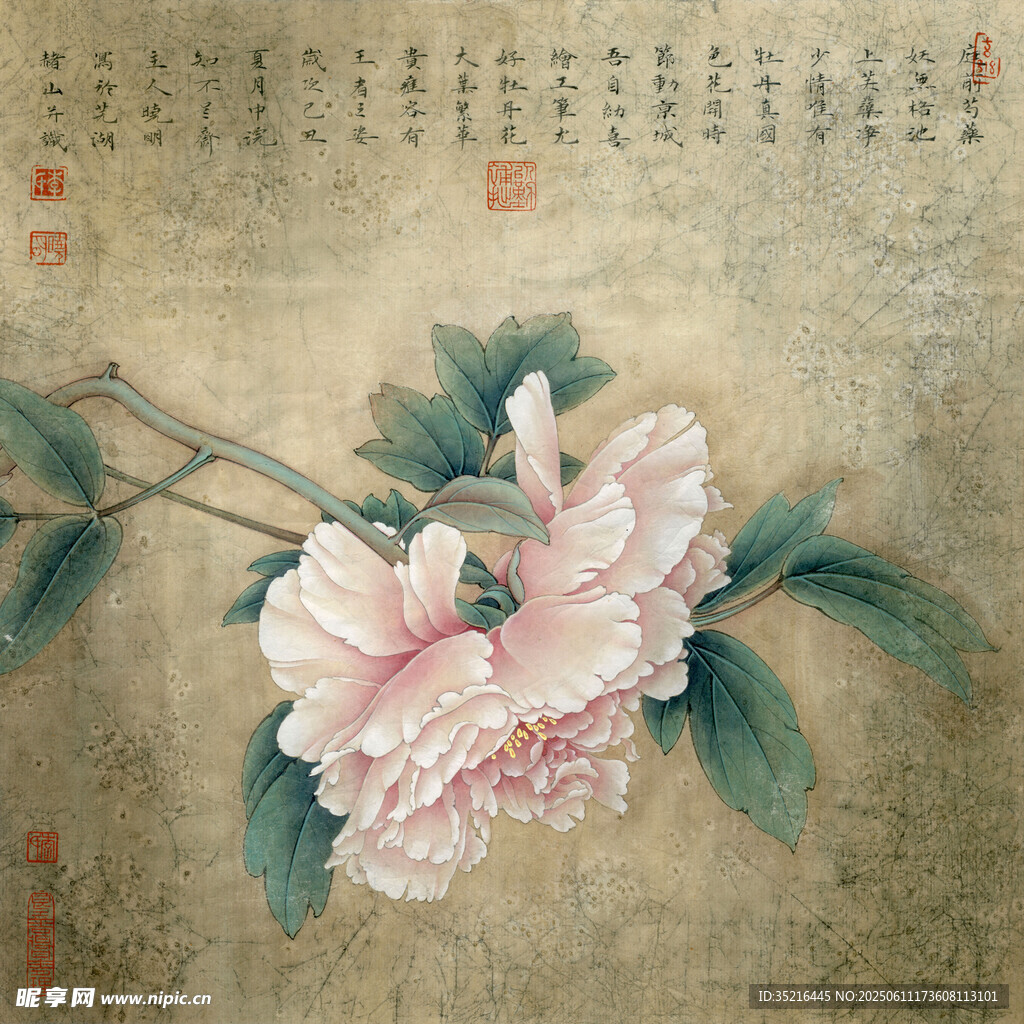 国画牡丹花卉图