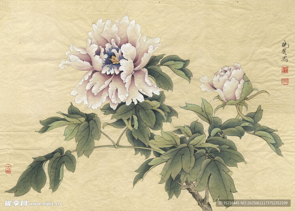 国画牡丹花卉图