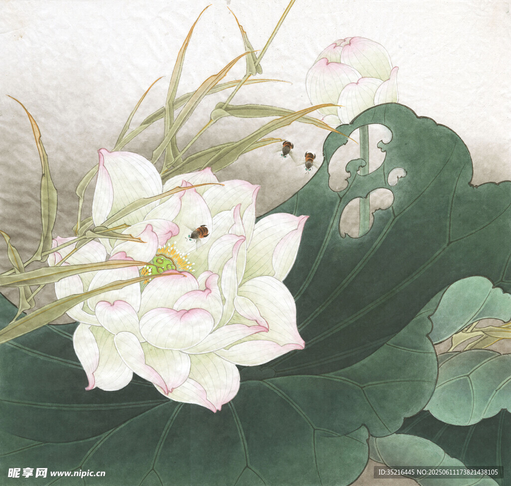 水墨荷花图