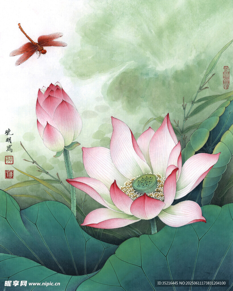 水墨荷花与蜻蜓图