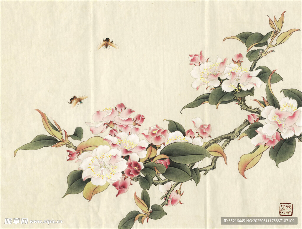 国画花卉枝头蜜蜂飞舞