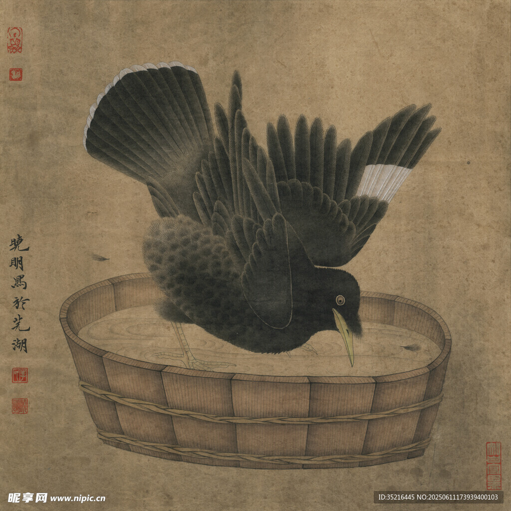笼中黑鸟展翅图