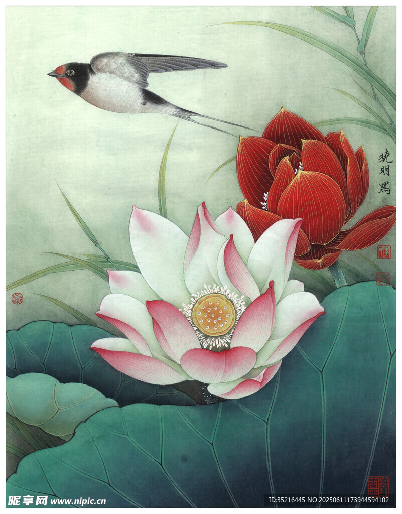 荷花飞燕图