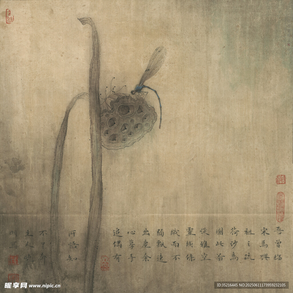 水墨蜻蜓图
