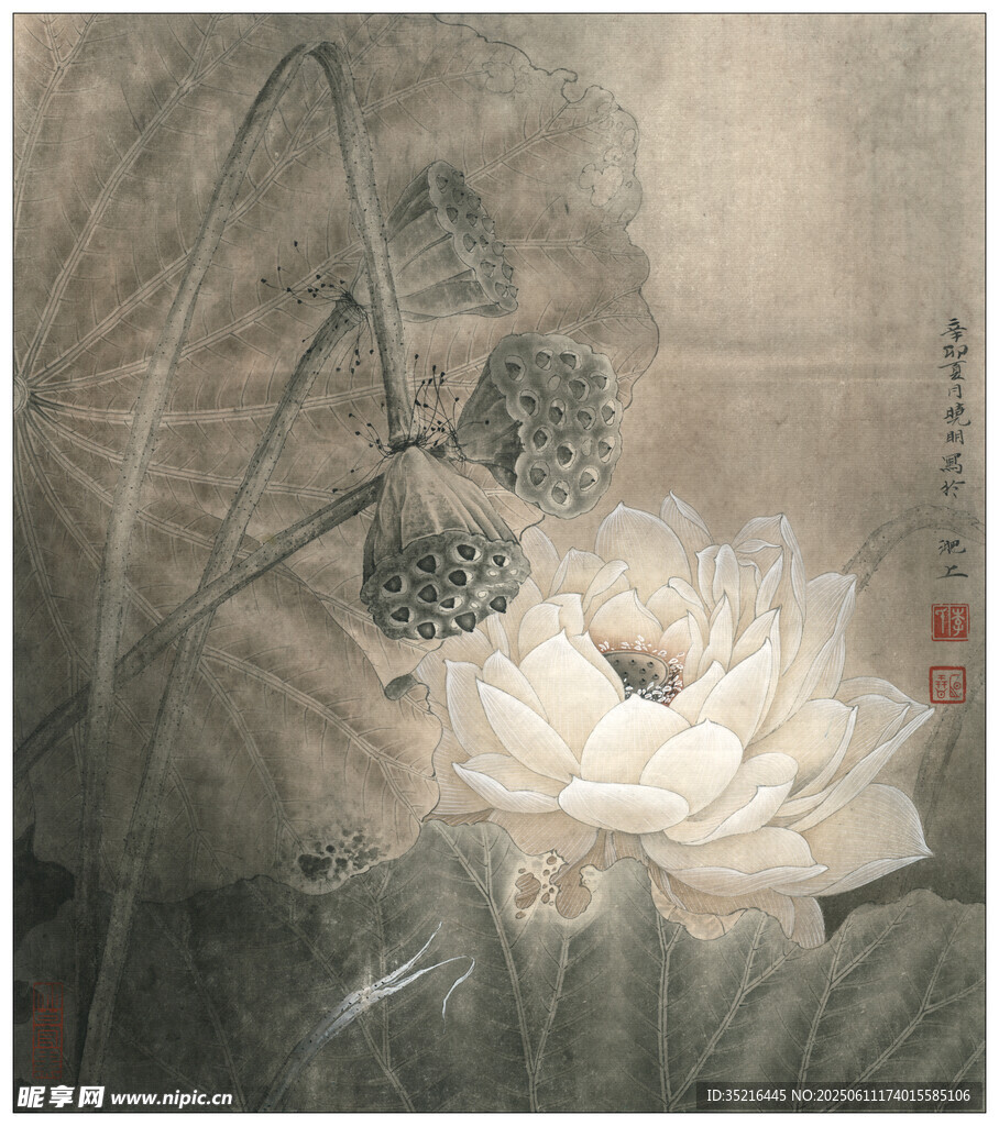 水墨荷花图