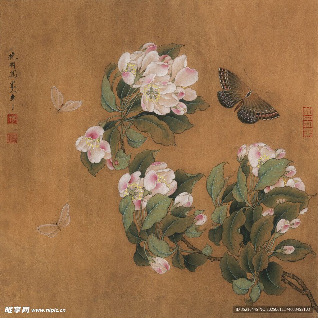 工笔花卉蝴蝶图