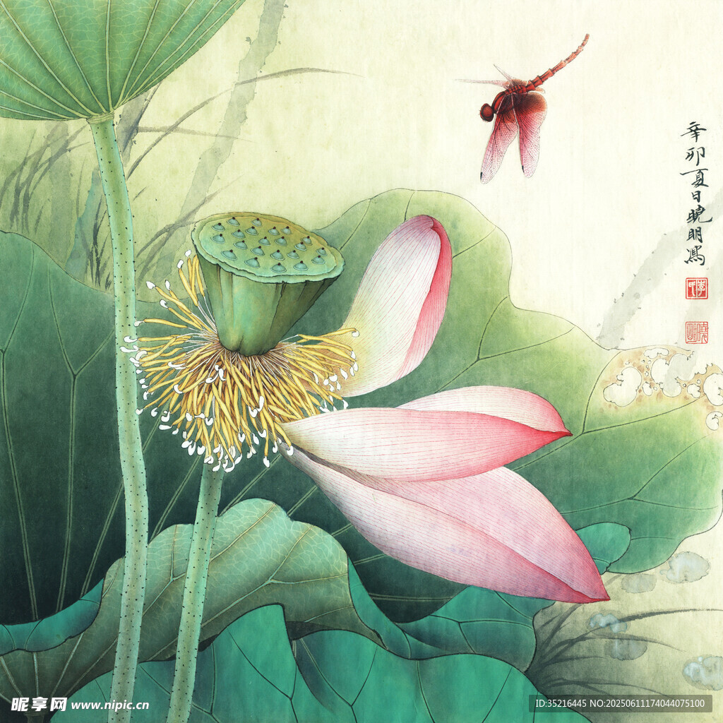 水墨荷花蜻蜓图