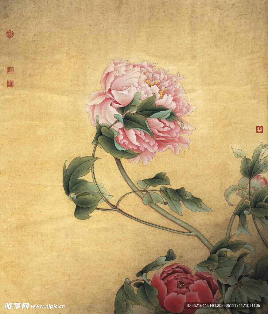 国画牡丹花卉图