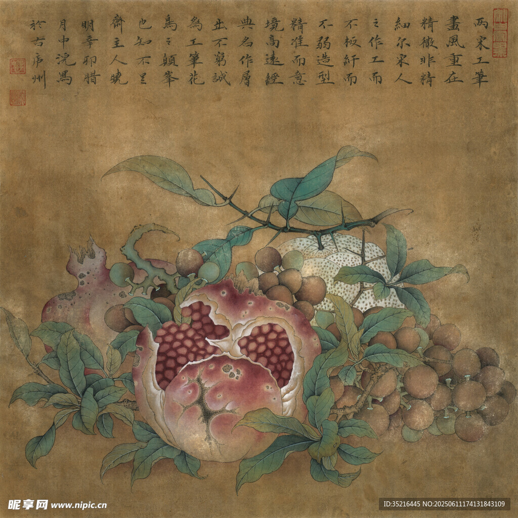 国画石榴图