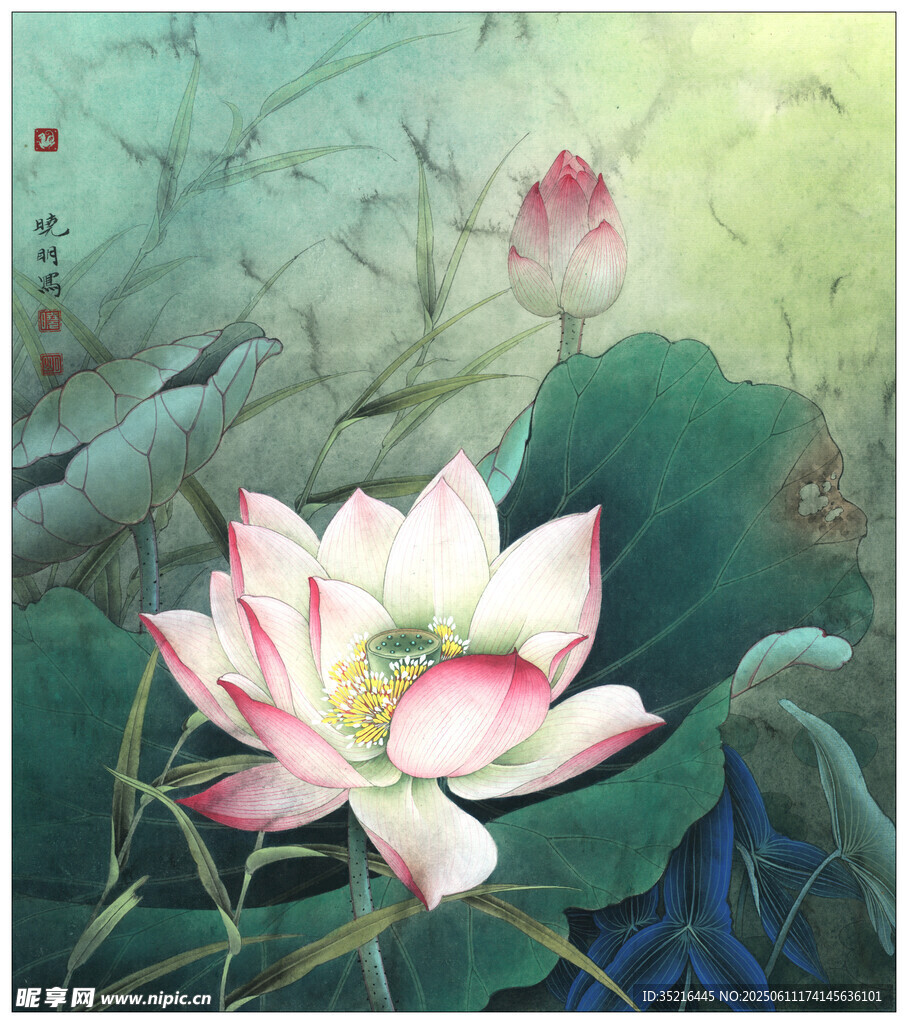 水墨荷花图