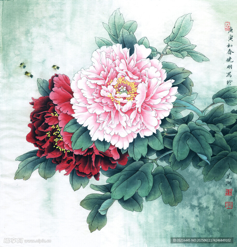 国画牡丹花卉图