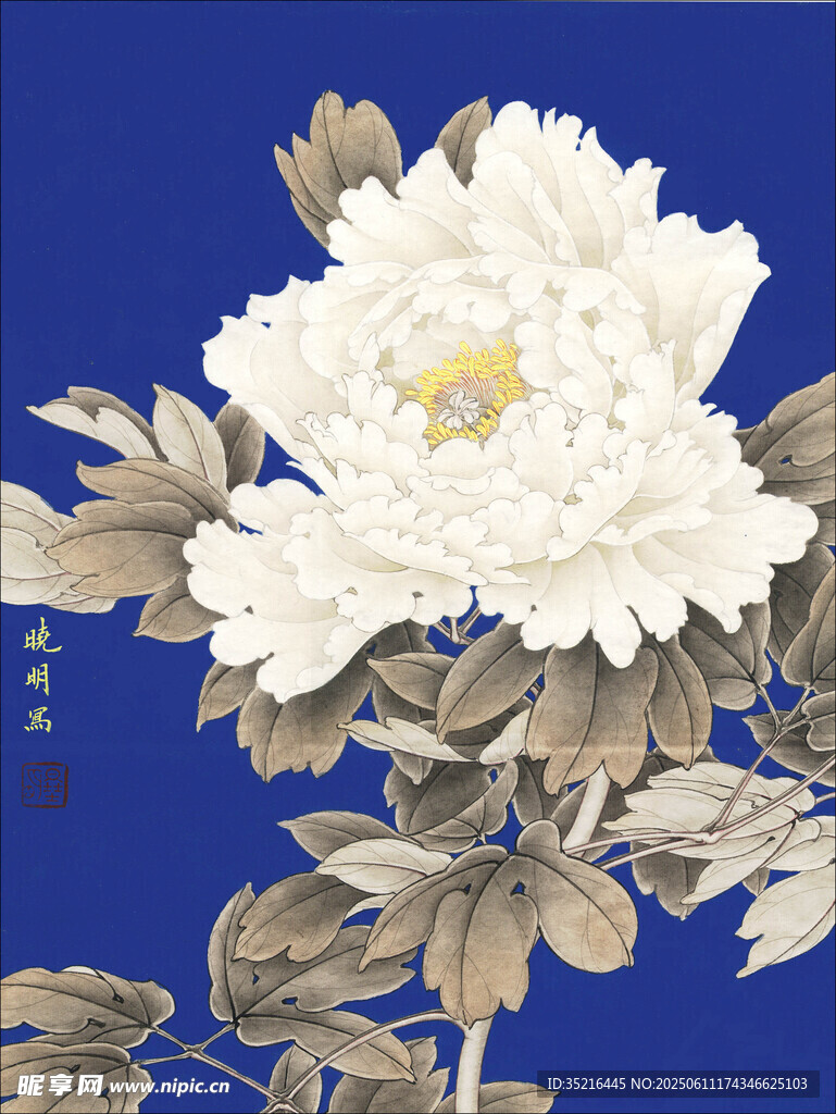 蓝底白牡丹国画花卉图
