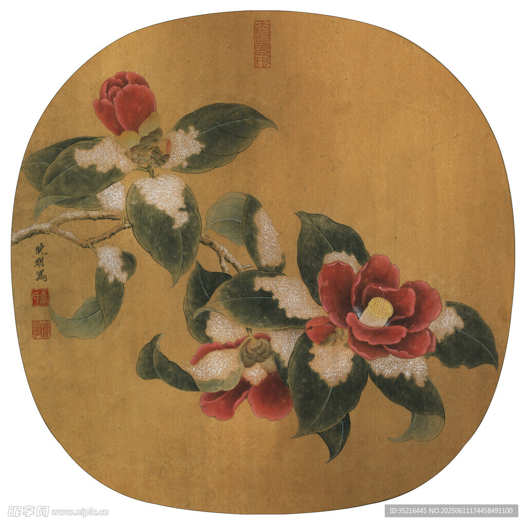 圆形花卉古画