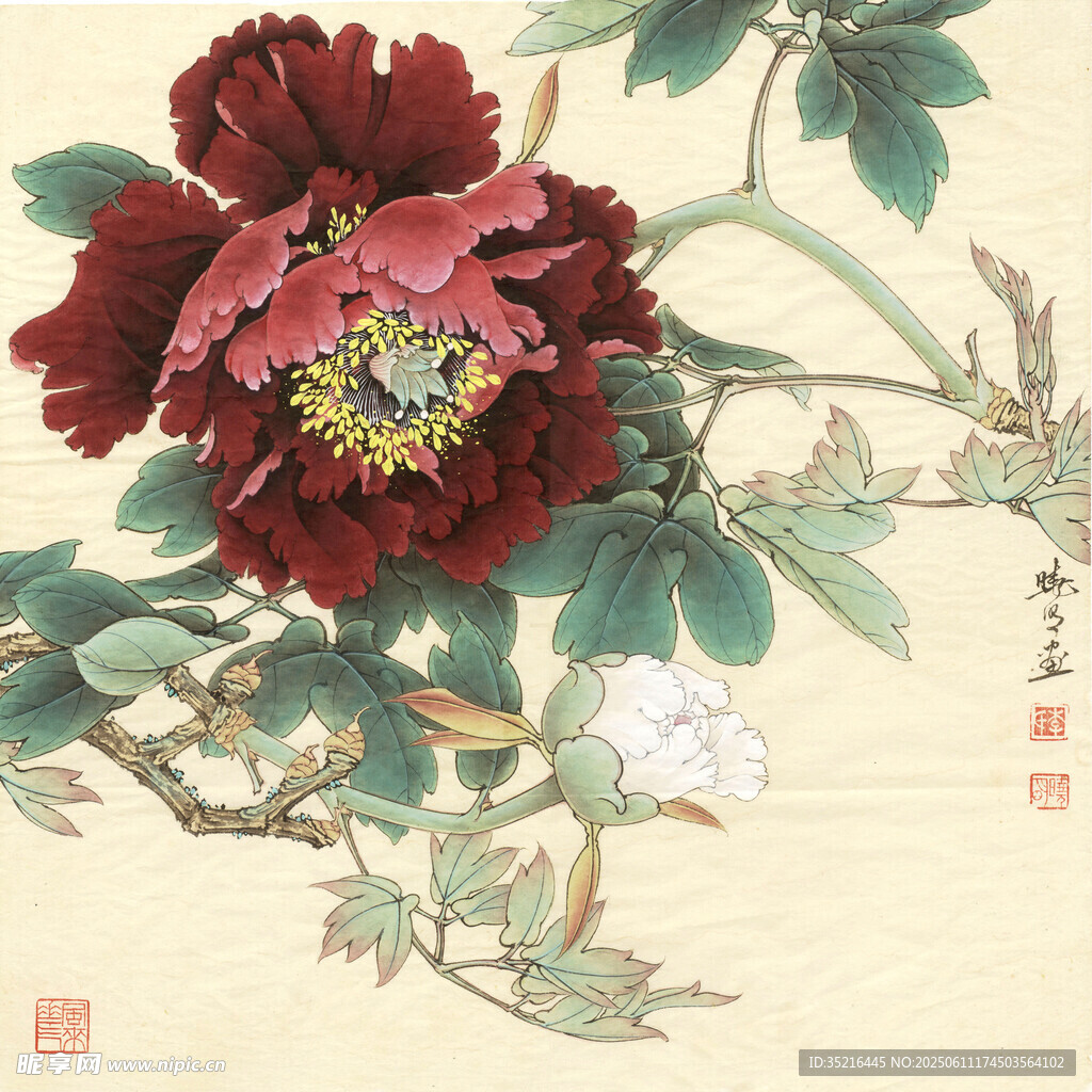 国画牡丹花卉图