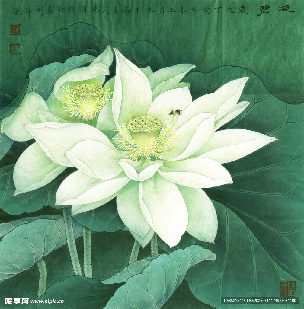 水墨荷花图