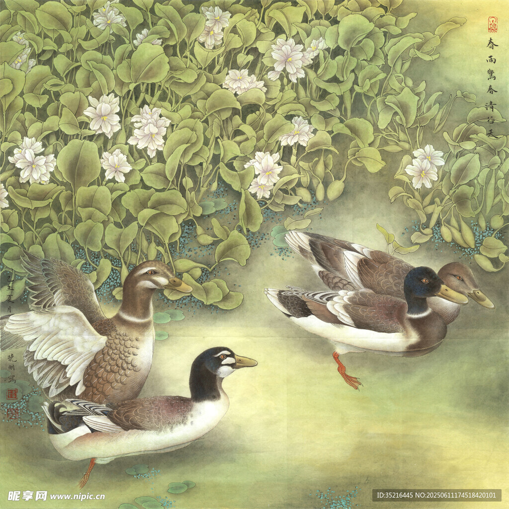 池塘中嬉戏的几只鸭子