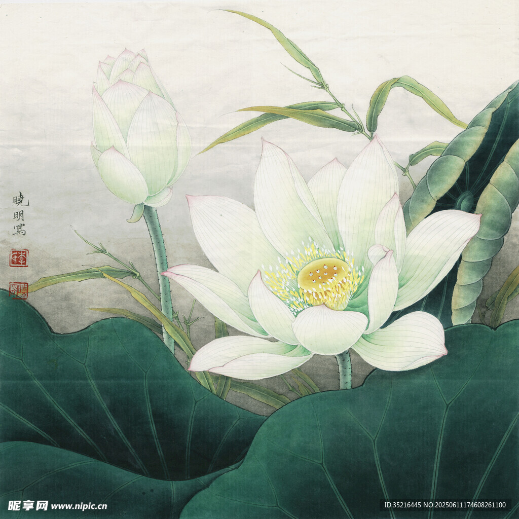 水墨荷花图