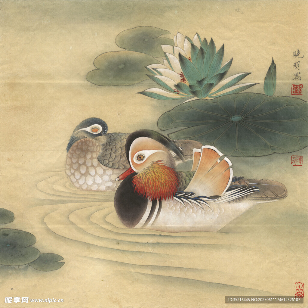 水中鸳鸯图