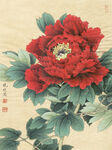 国画红牡丹