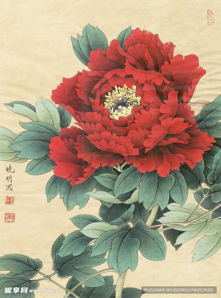 国画红牡丹