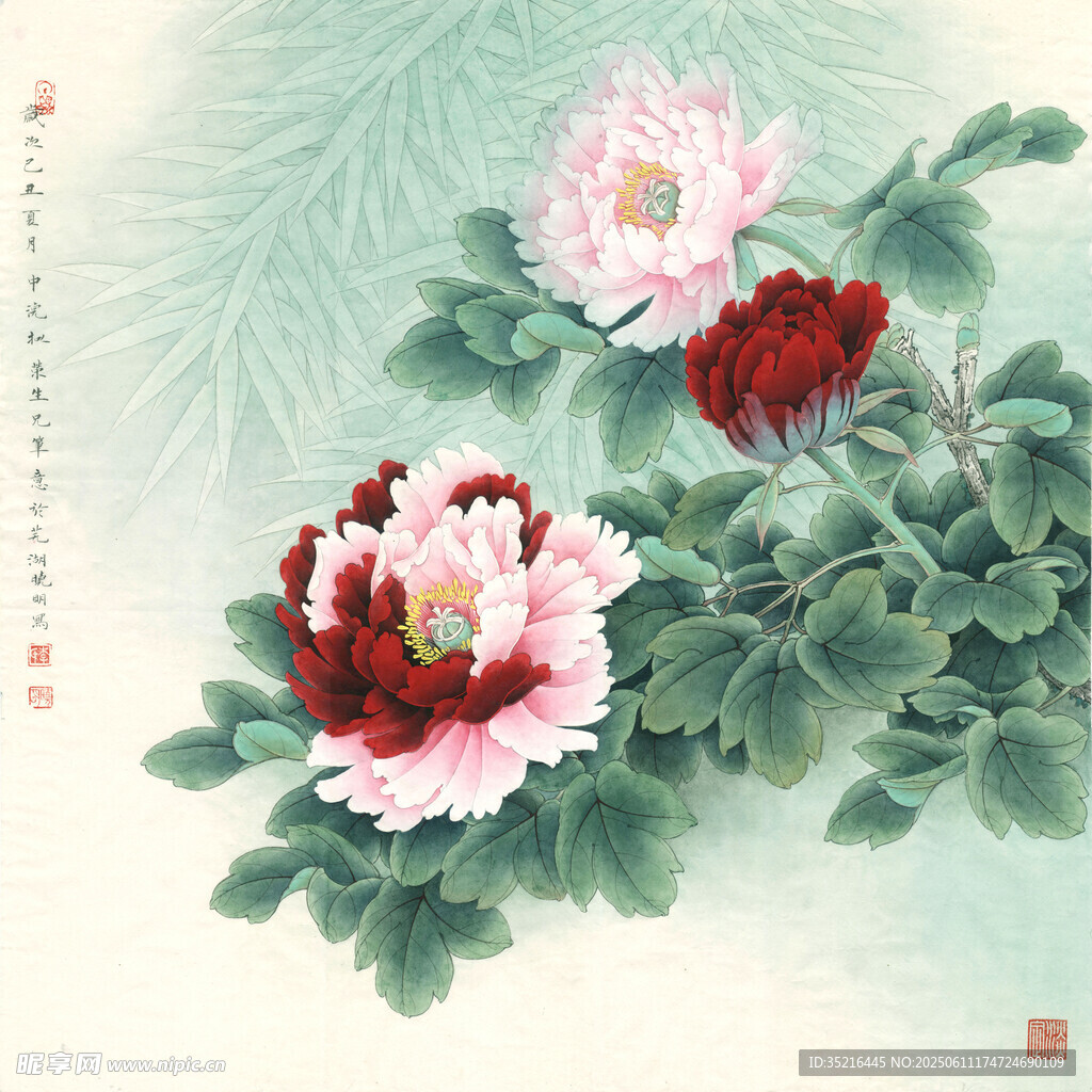 国画牡丹花卉图