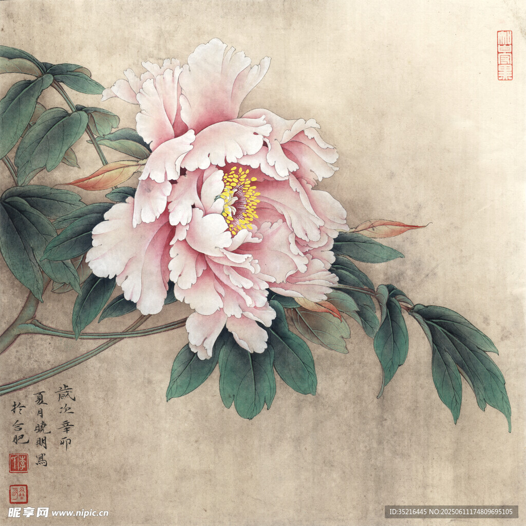 国画牡丹图
