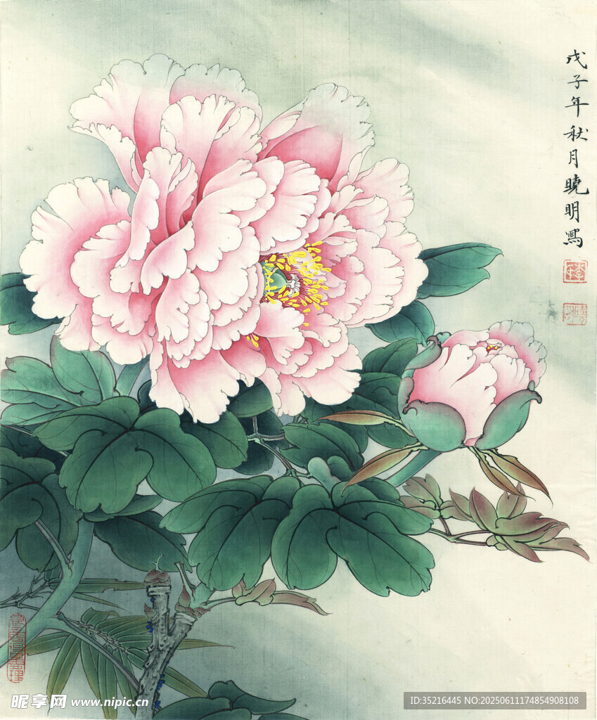 国画牡丹花卉图