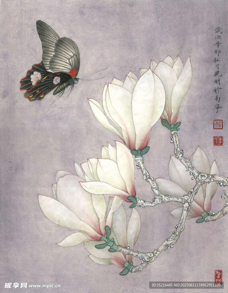 玉兰花旁蝶飞舞