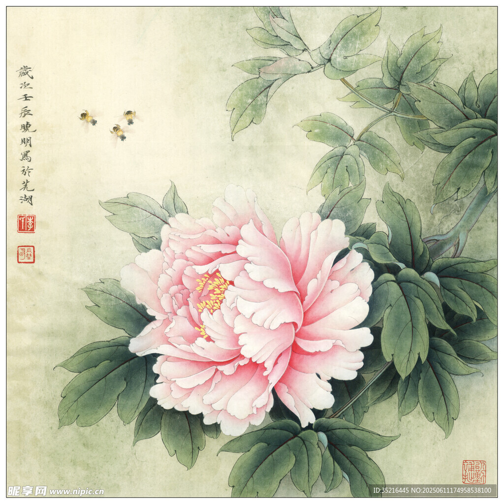 国画牡丹图