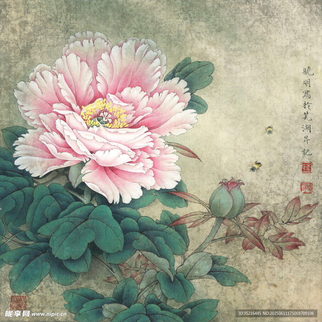 古风牡丹花卉图