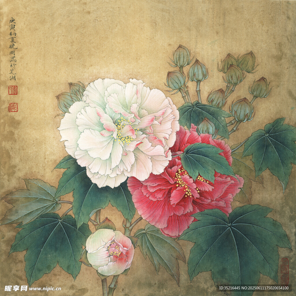 国画牡丹花卉图