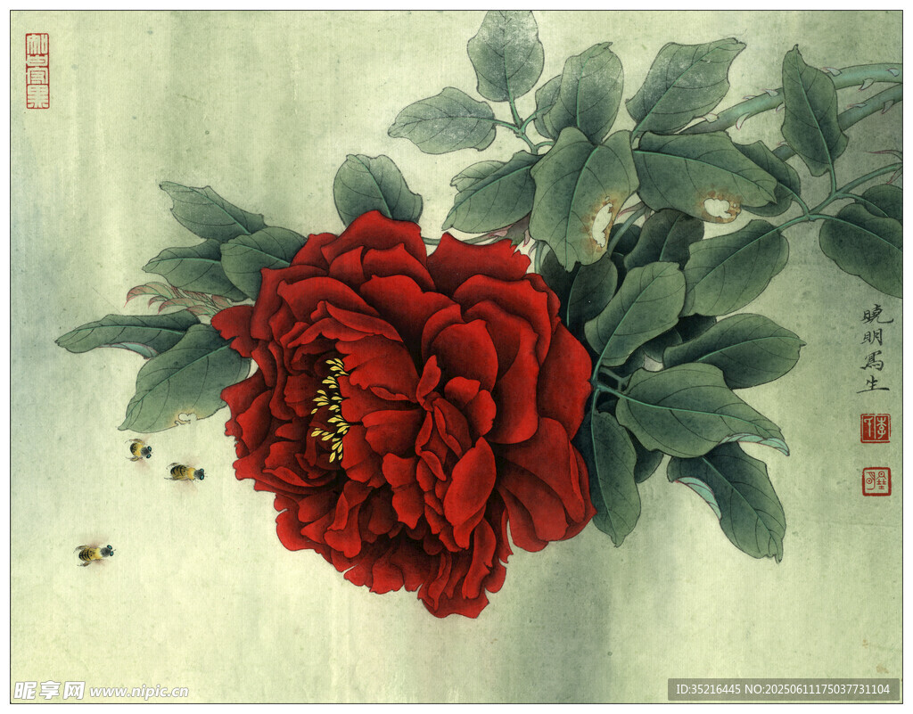 国画红牡丹