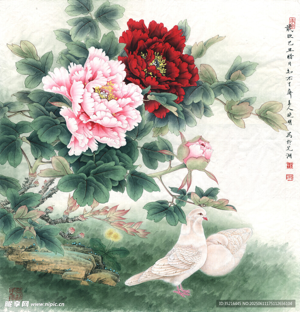 牡丹白鸽图