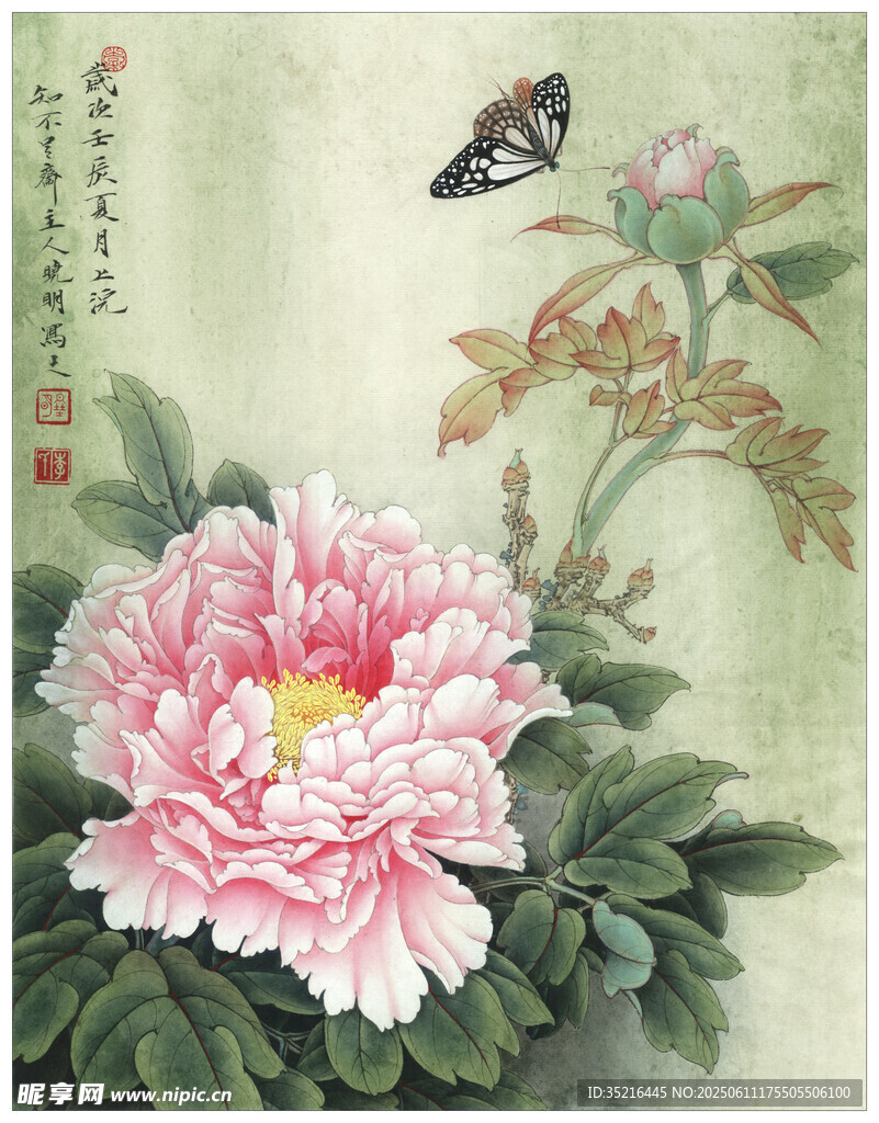 国画牡丹旁的蝴蝶飞舞
