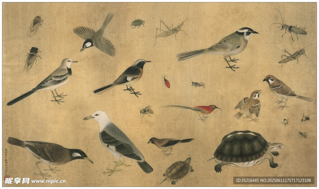 古代禽鸟龟类绘画作品